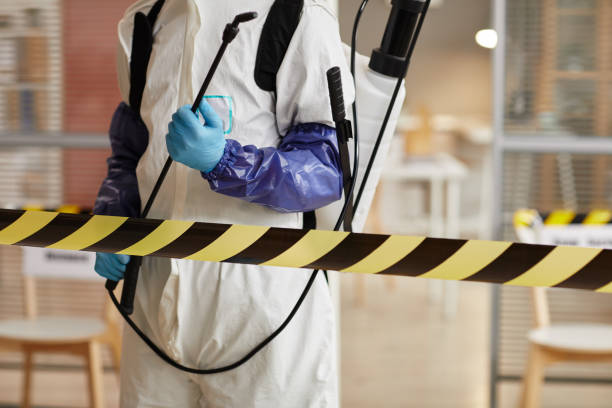 Professional Hoarding Cleanup technician working in Freeport, IL