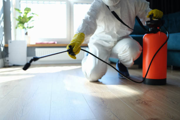 Reliable Hoarding Cleanup contractor in Freeport, IL by Dulley Family Biohazard Services
